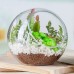 Globe Glass Ball Planter Vase Flower Plant Pot Terrarium Container Tabletop   192480984301